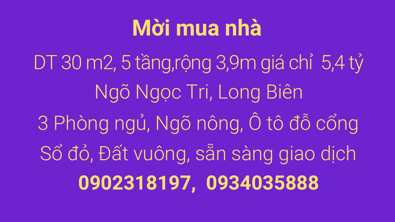 Không mua ngôi nhà này, bạn sẽ hối tiếc mãi mãi - Ảnh chính